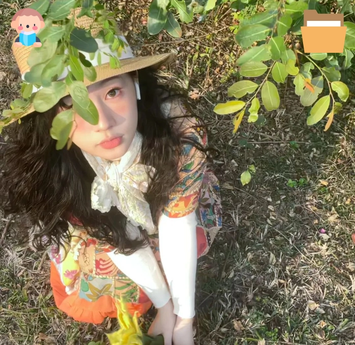 宋佳女士